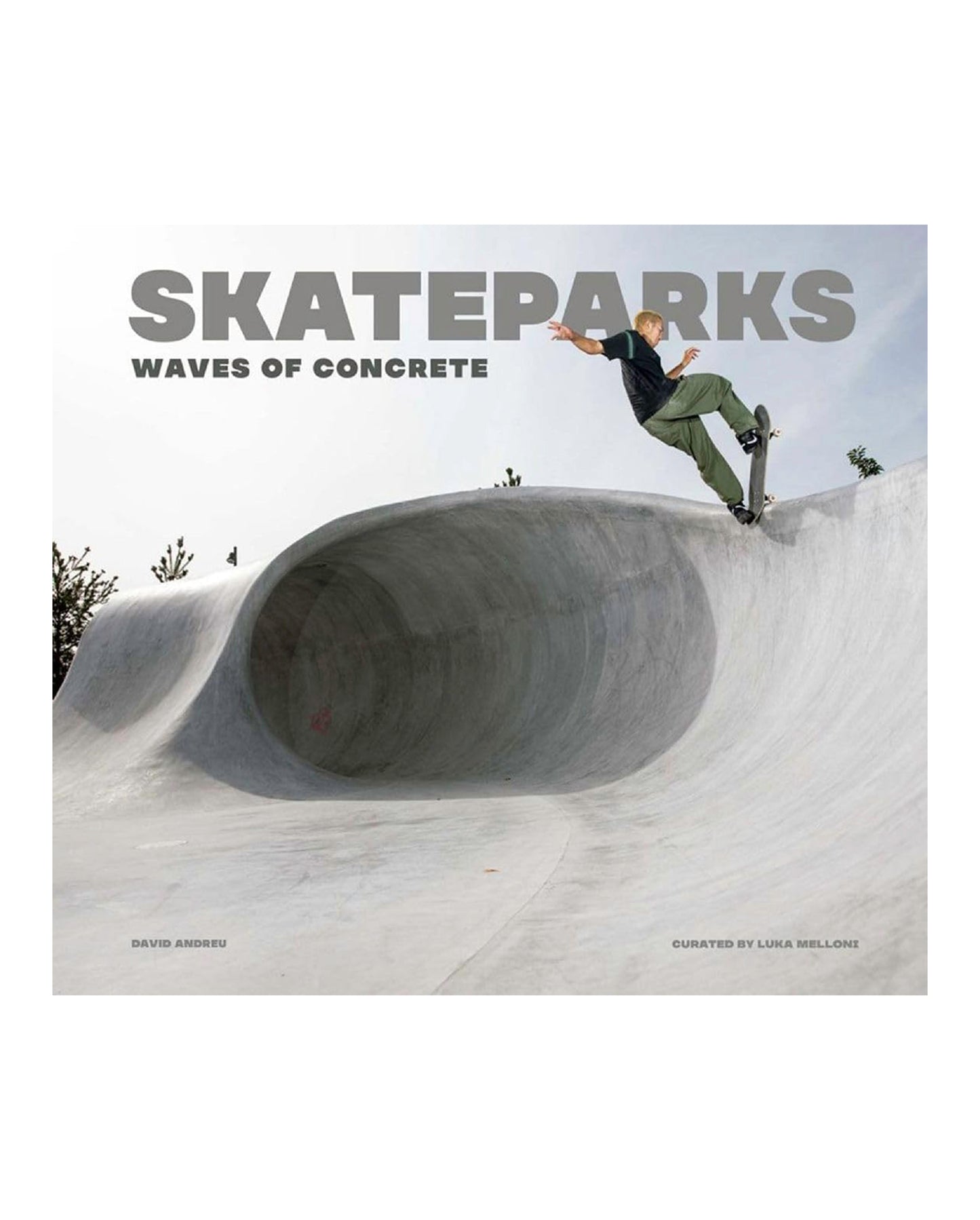 "Skateparks / Waves of Concrete" | Book